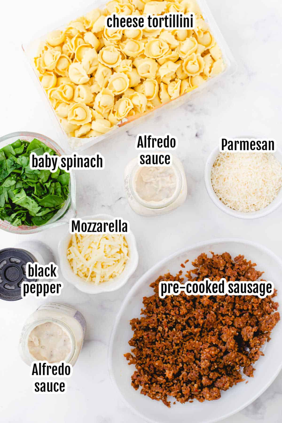 Image of the ingredients needed to make the Alfredo Sausage Casserole. 