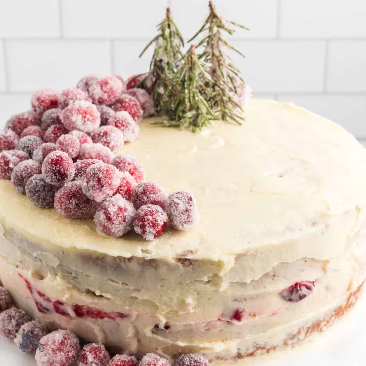 Cranberry cake recipe made with a white cake mix, fresh cranberries, mascarpone frosting, garnished with sugared cranberries and rosemary sprigs.