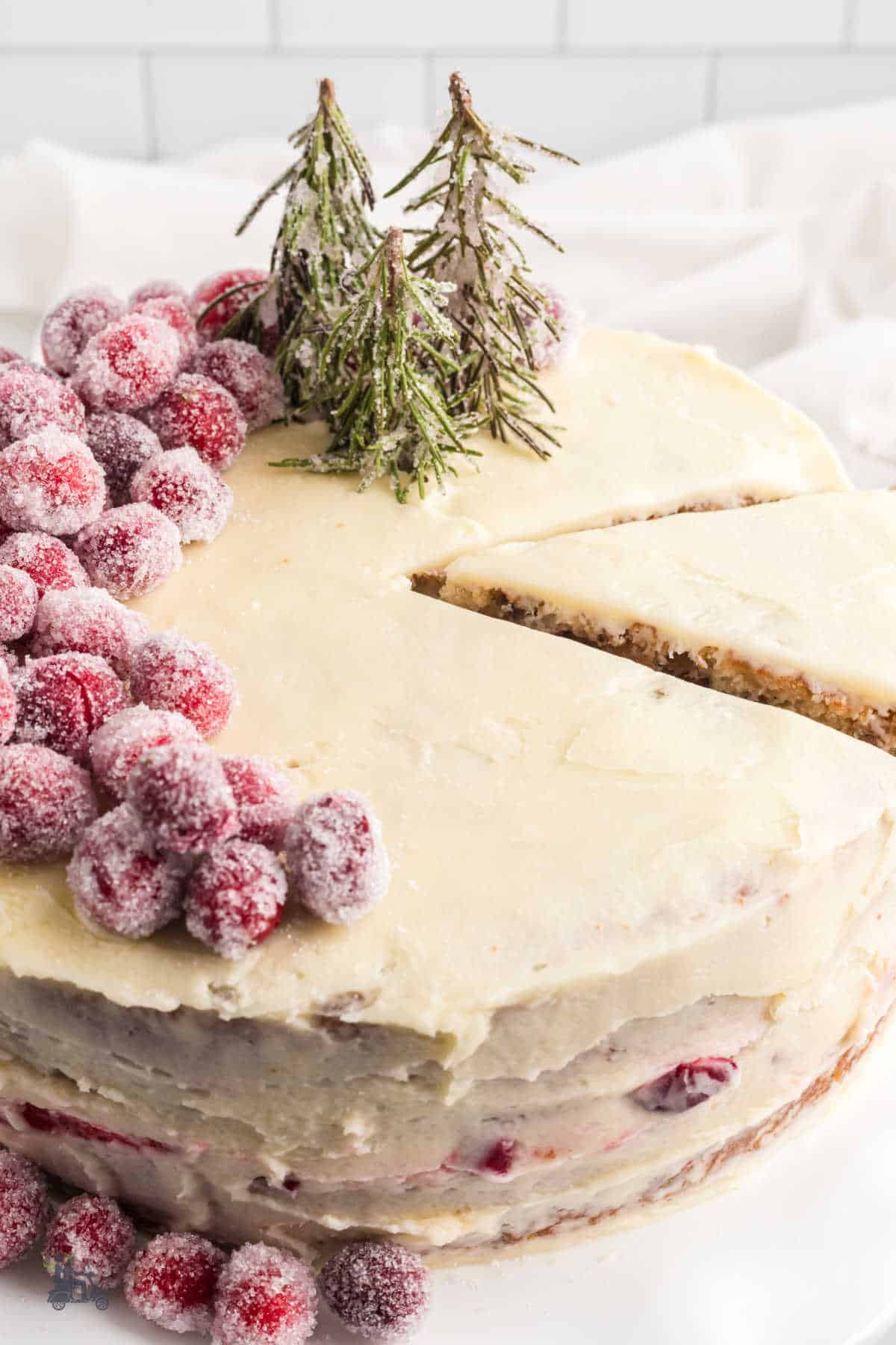 Cranberry Cake with white frosting and garnished with sugared cranberries and pine trees made of fresh rosemary sprigs. 