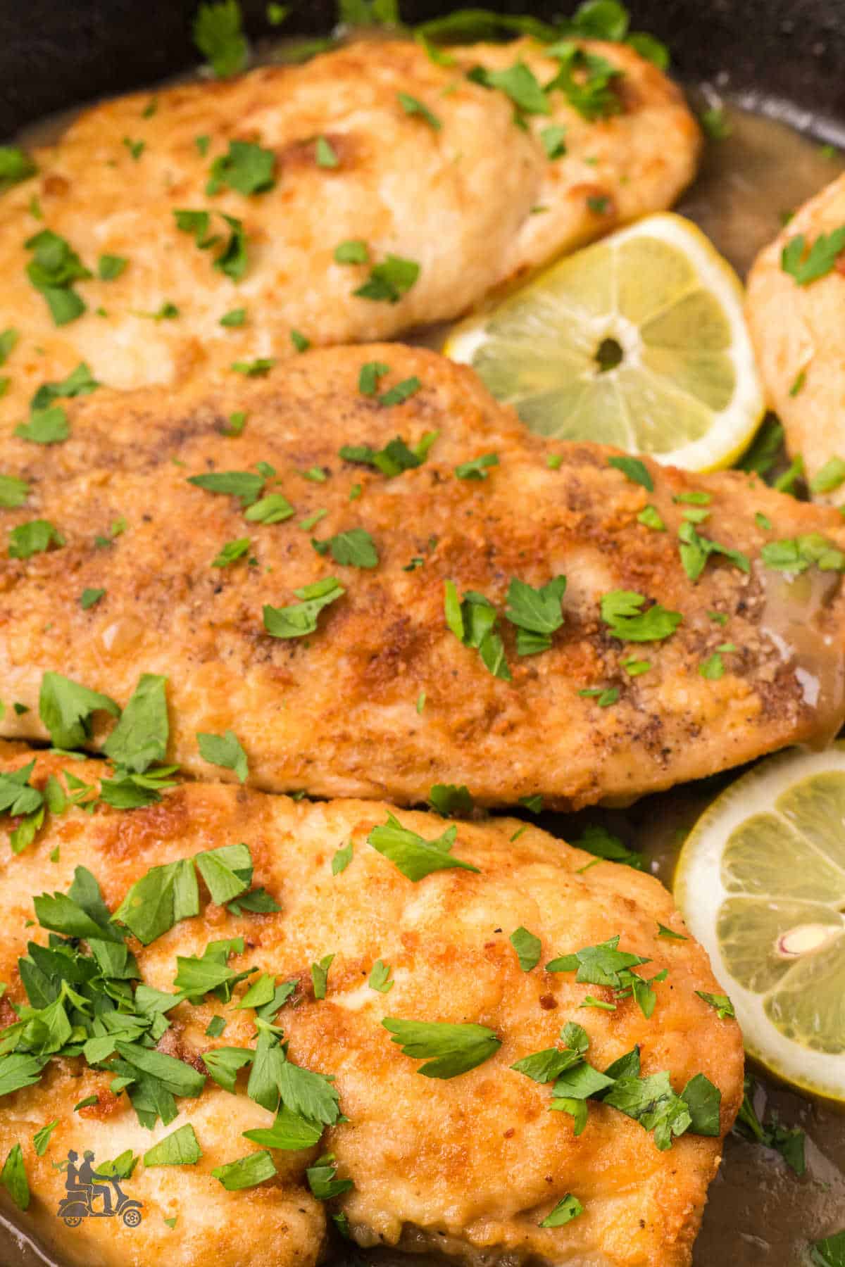 Closeup of chicken scallopini in a lemon butter wine sauce made in a black cast iron skillet. 