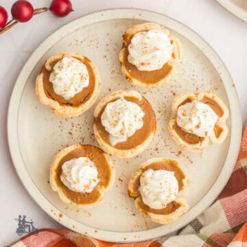 Miniature pumpkin pies with whipped cream and a sprinkle of cinnamon on top placed on a cream colored serving plate.