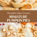 A Pinterest collage shows three images of the Mini Pumpkin Pie with Whipped Cream Topping recipe. The collage has a title overlay.