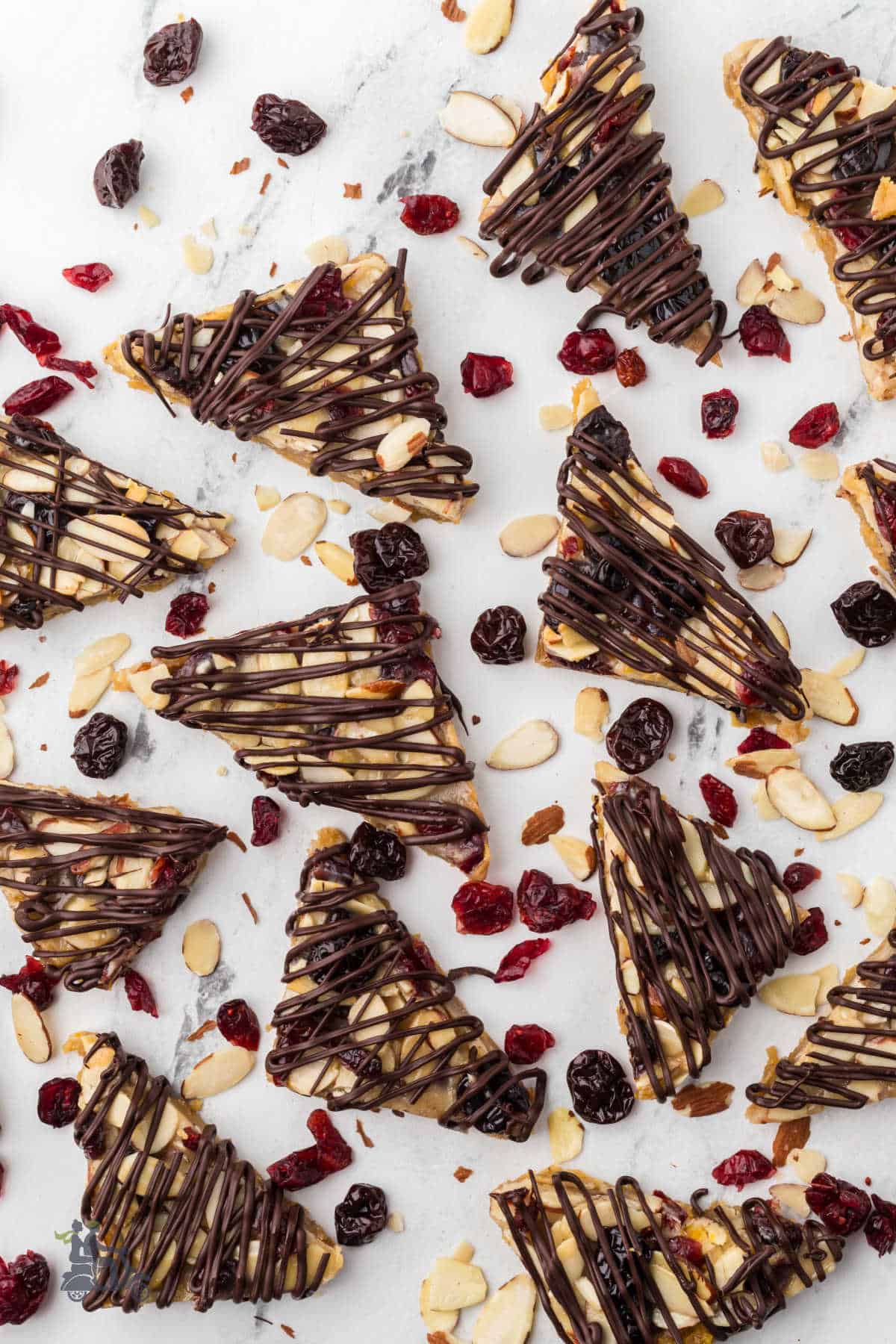 The Italian Christmas cookies are made in Florentine style with chocolate drizzled on top. 