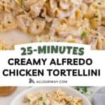 A Pinterest share image collage with a title overlay for the Chicken Tortellini Alfredo recipe.