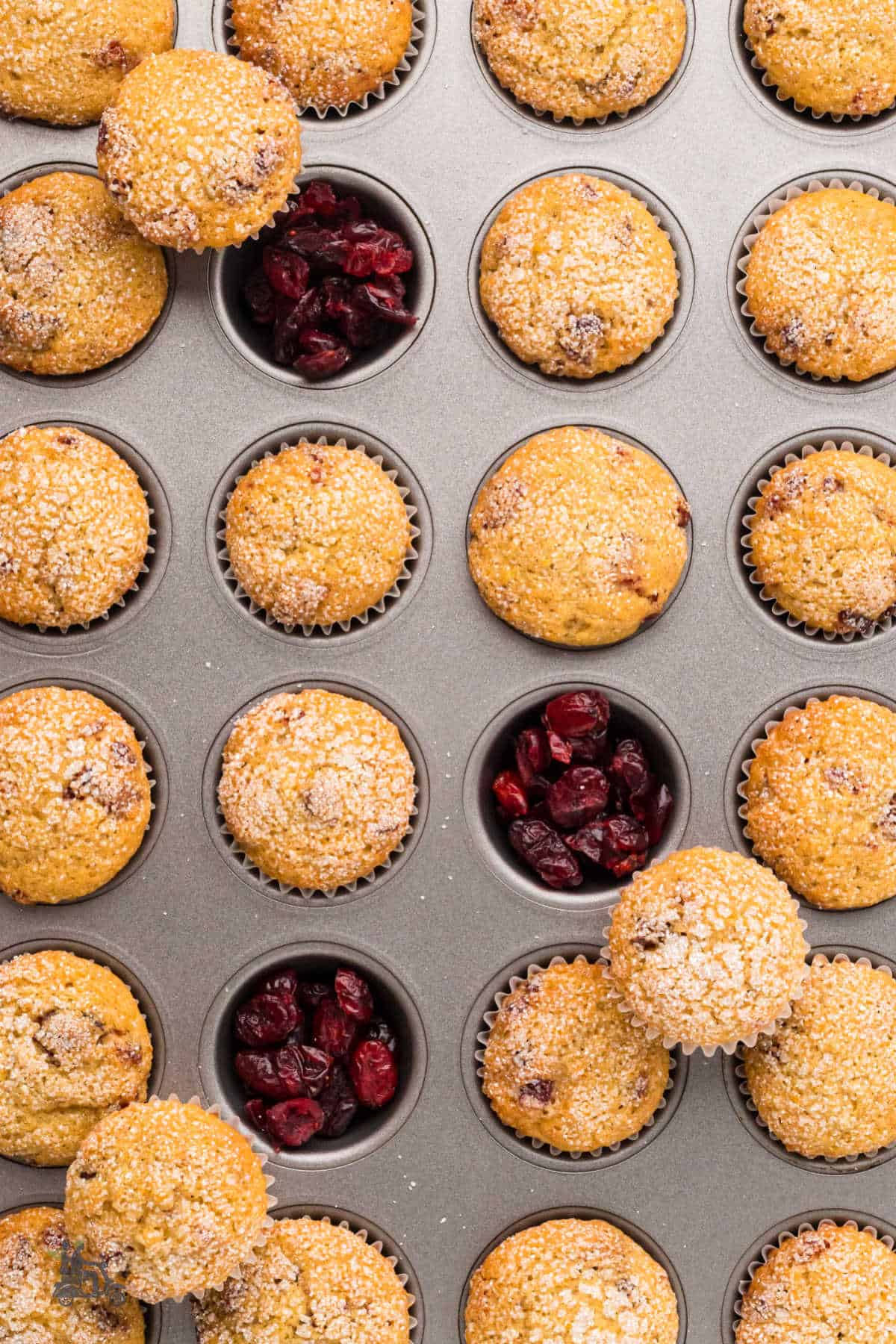 Cranberry Orange mini muffins in a metal baking pan finished baking and are ready to cool.