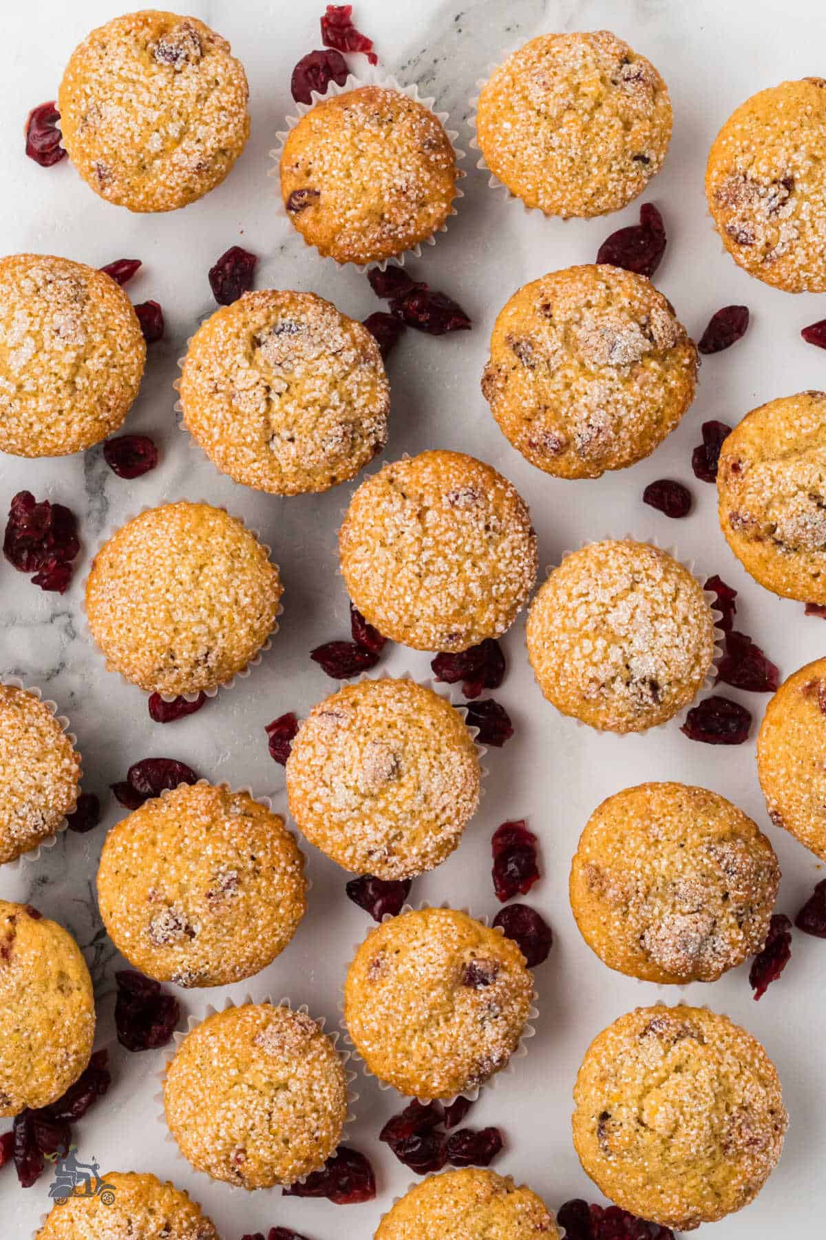 Two dozen mini muffins were made with orange zest and minced dried cranberries.