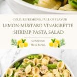 A Pinterest Pin collage with a title overlay for the fresh and tangy shrimp pasta salad recipe.
