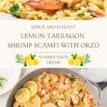 A Long Pinterest collage with a title overlay, with two photos of the finished orzo pasta recipe with lemon garlic scampi shrimp.
