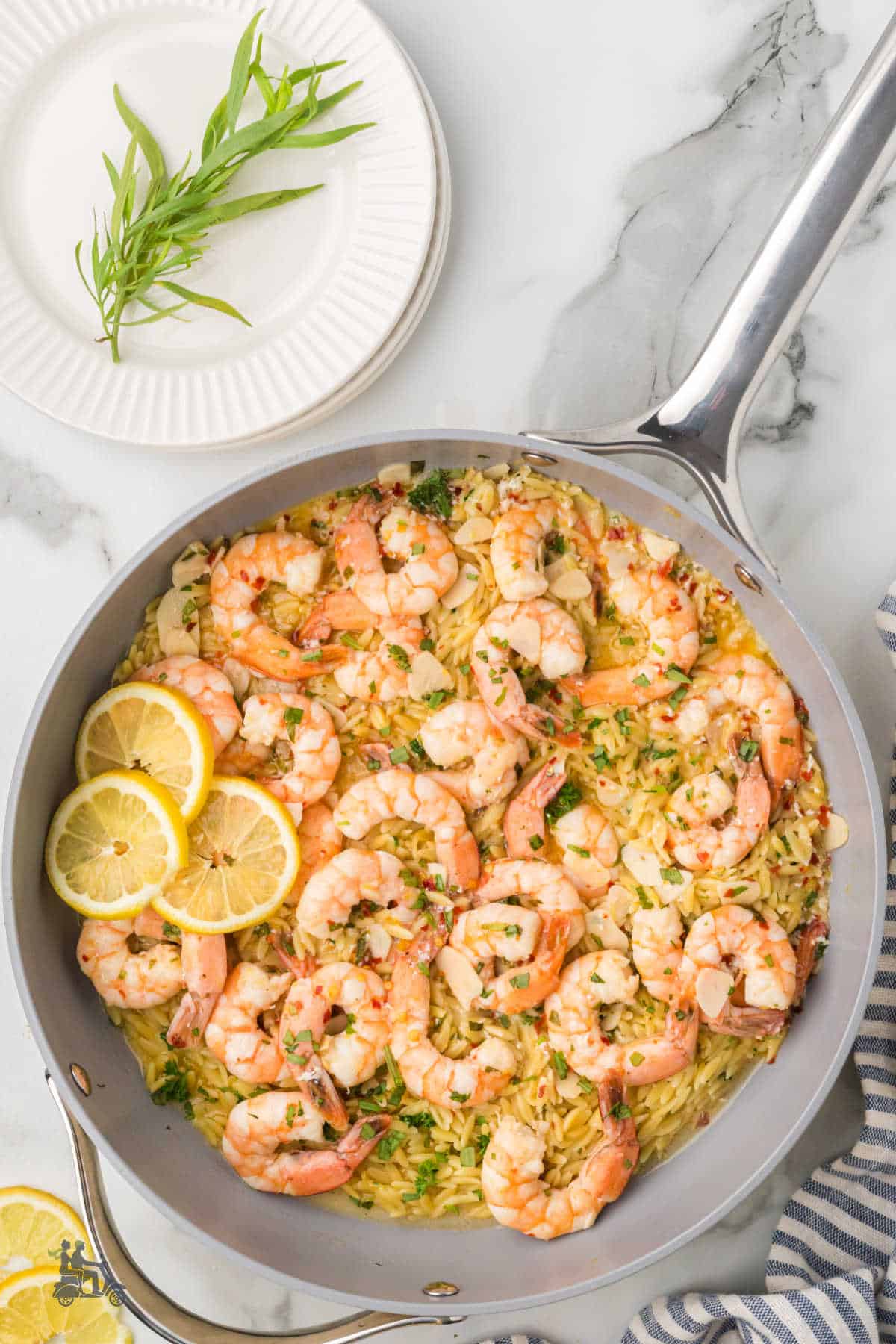 Lemon tarragon shrimp scampi with orzo pasta in a large skillet with lemon slices and tarragon on top. 
