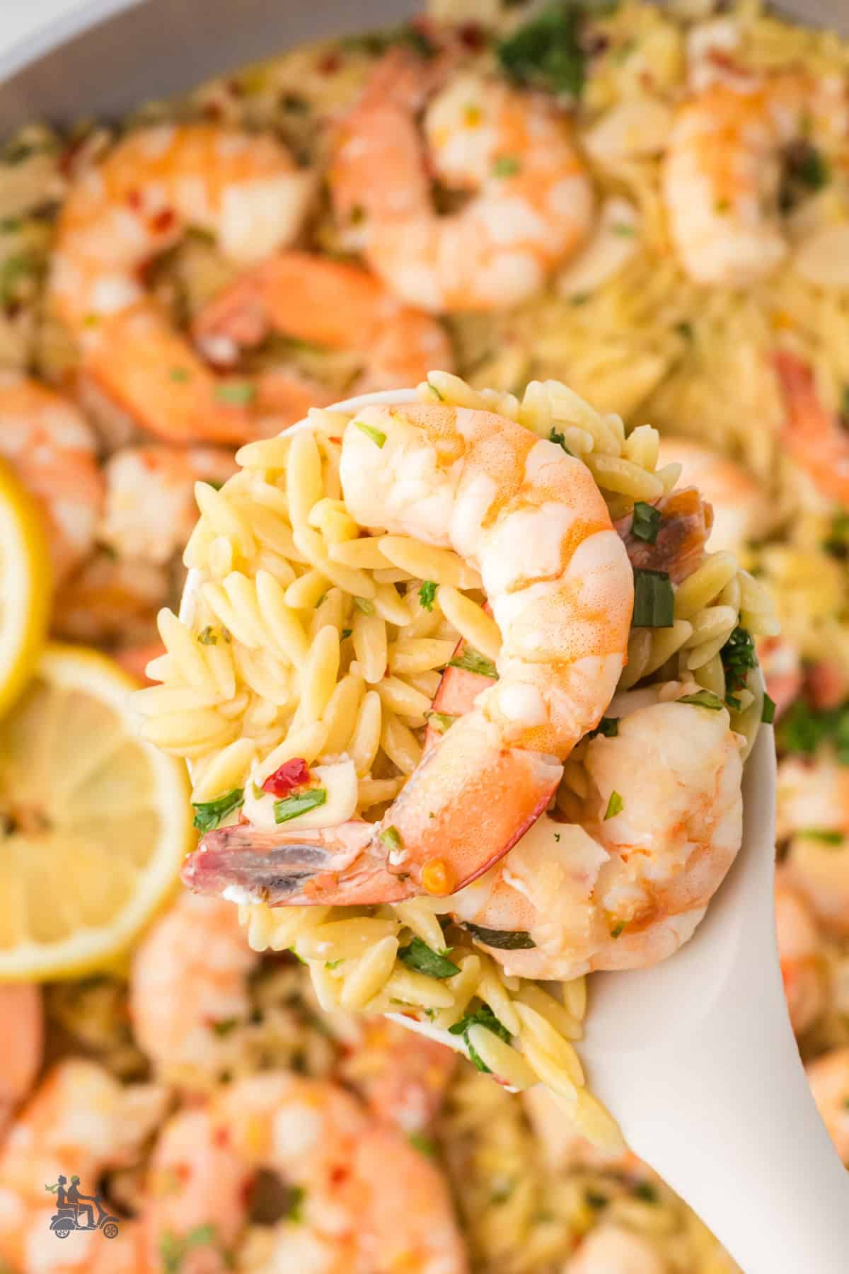 A close-up of a spoonful of fresh tarragon and lemon shrimp with buttery orzo pasta. 