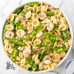Southern-style shrimp pasta salad with orecchiette pasta, snow peas, and lemon vinaigrette dressing.
