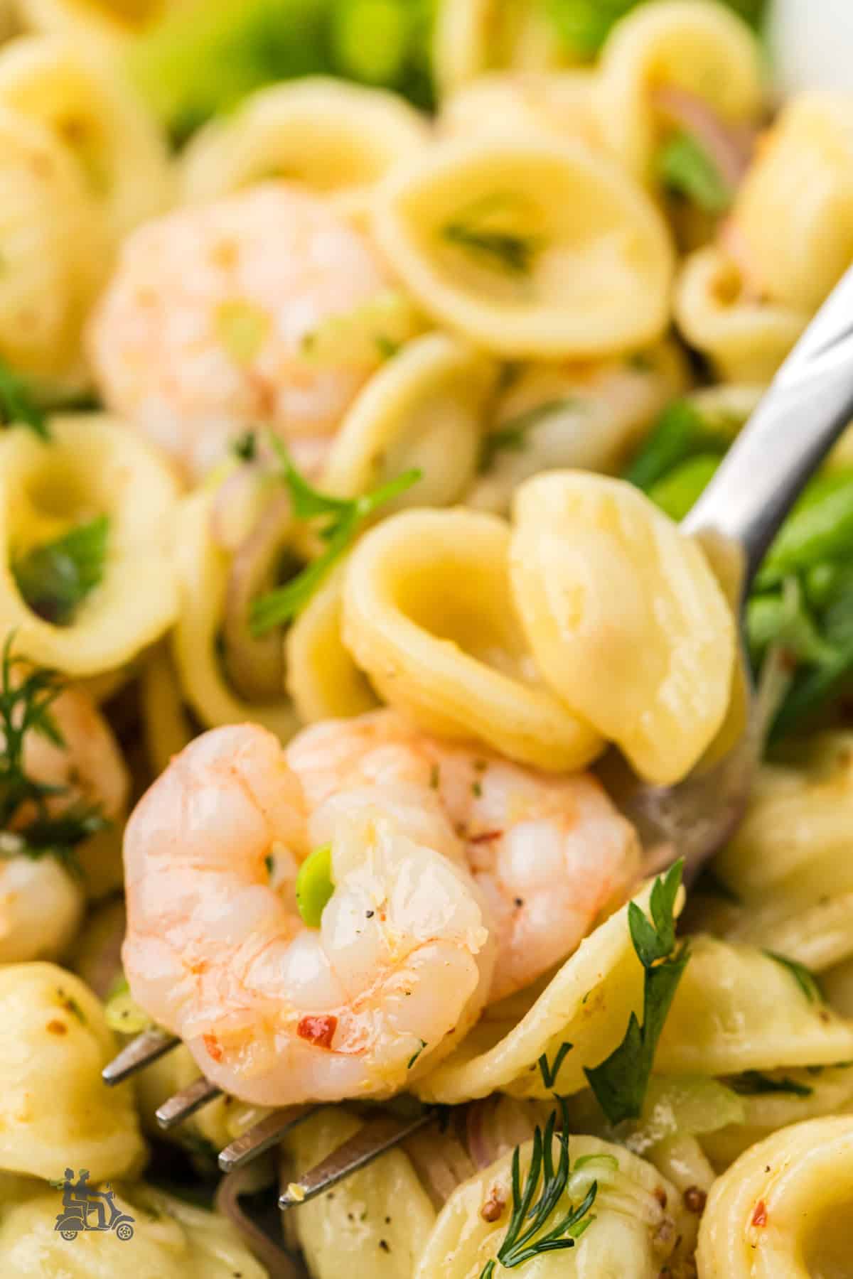A serving spoon holds a bite of shrimp and pasta from the Shrimp Pasta Salad recipe, accompanied by a lemon vinaigrette dressing.
