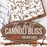 A Pinterest collage with a title overlay of a chilled chocolate lasagna dessert.