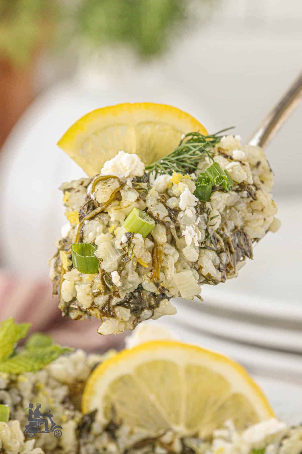 A fork scoops up a helping of spanakorizo with herbs and feta cheese. 