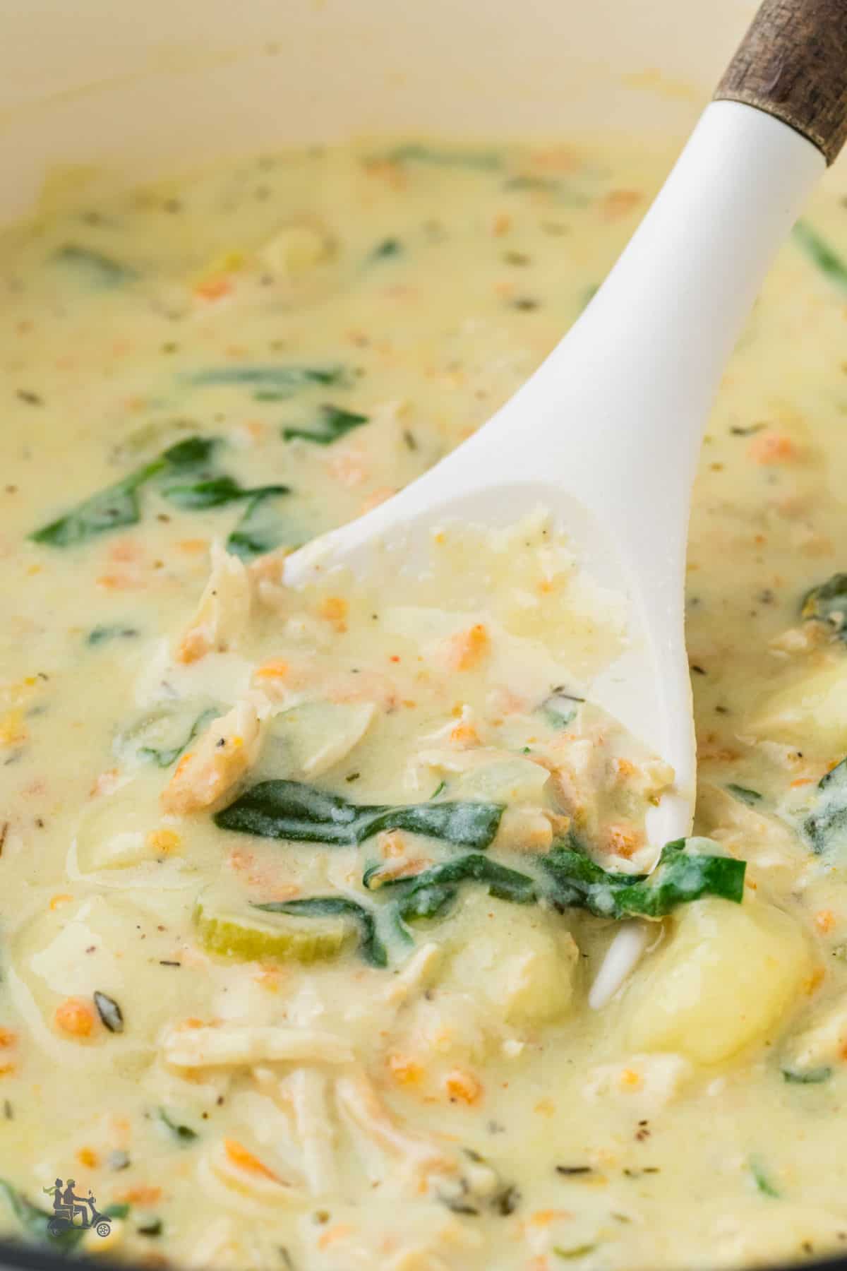 A close-up view of the soup ladle dipping into the thick and creamy chicken and gnocchi soup.