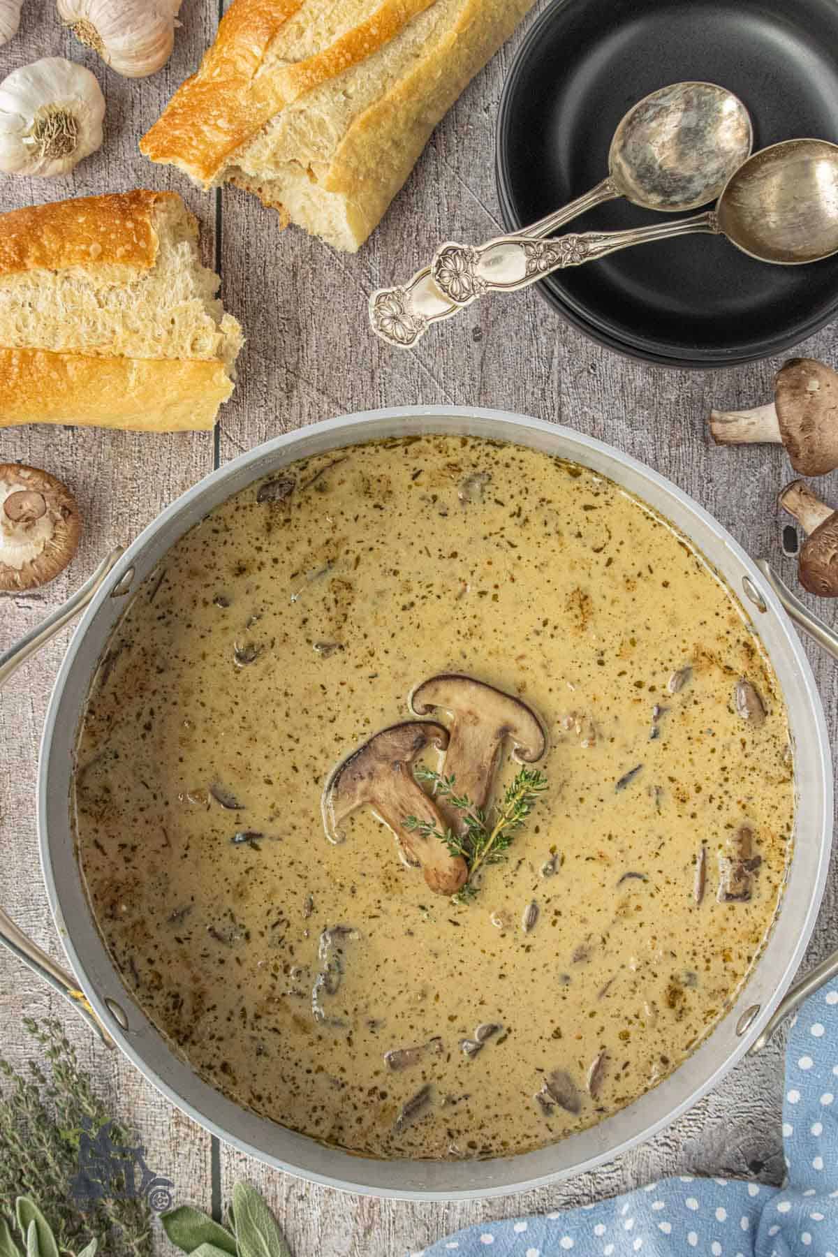 The completed Rustic Italian mushroom soup with porcini mushrooms.