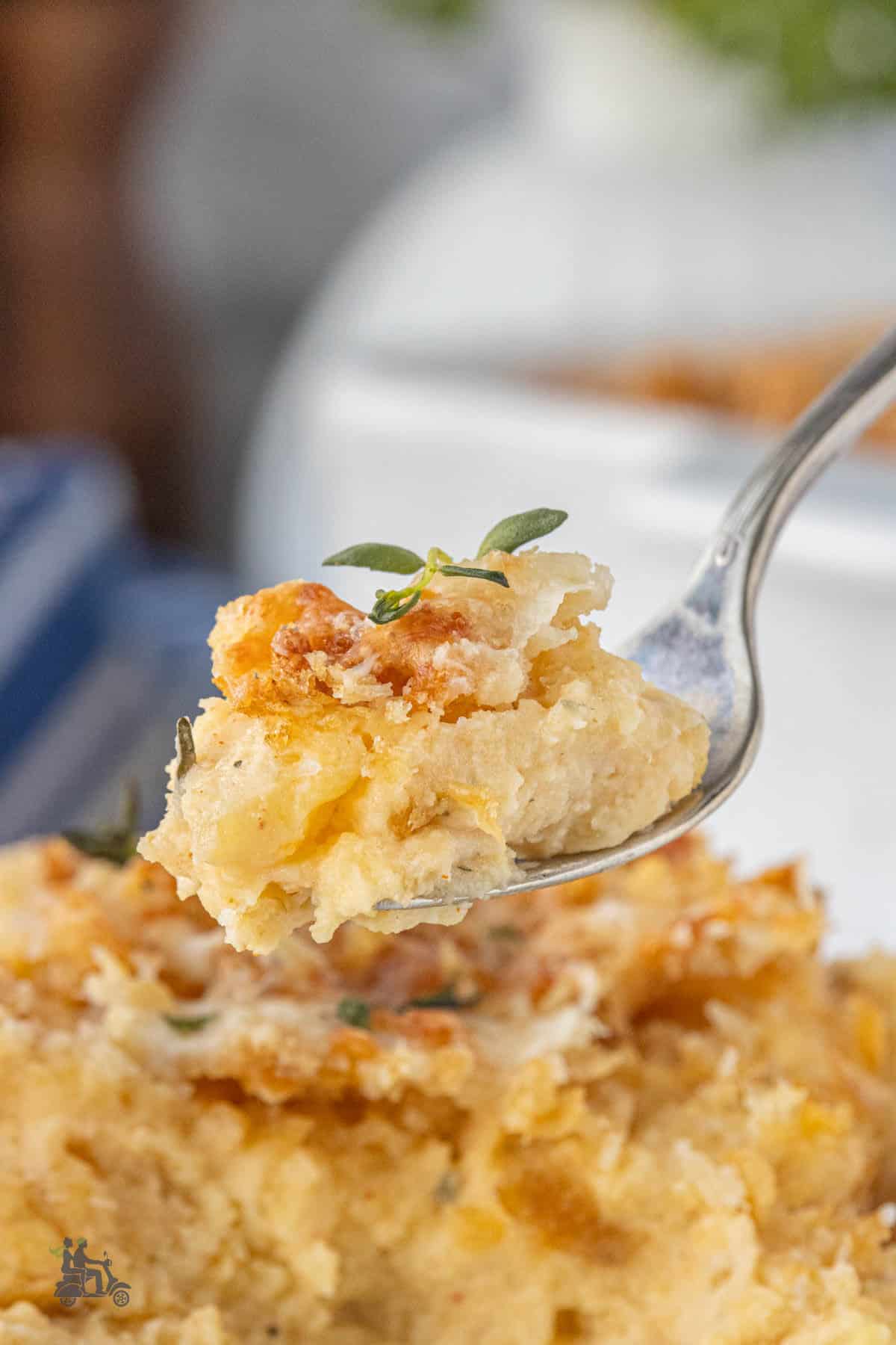 A spoonful of the creamy cheesy potato bake with a golden crunchy topping.