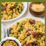 A bowl filled with ditalini and peas with crispy salami included.