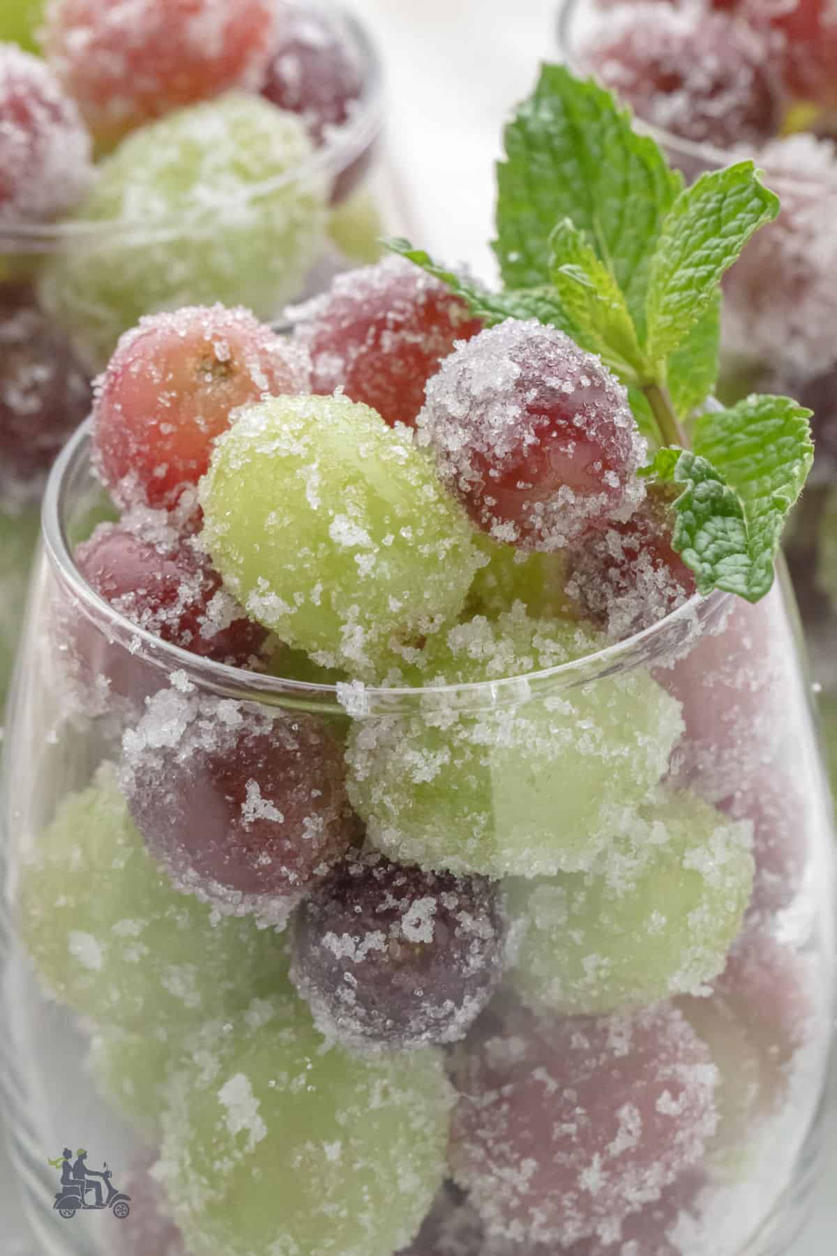 Close up of a wine goblet filled with red and white prosecco soaked grapes rolled in white baker's sugar.