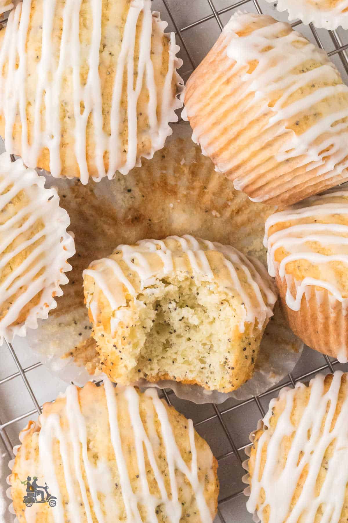 Close up of a poppy seed muffin with a bite taken out of it.