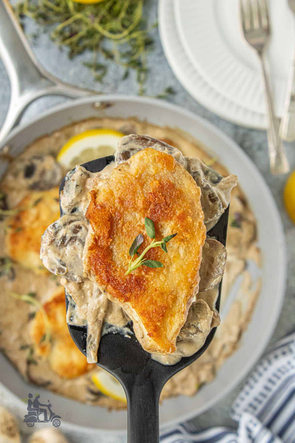 Closeup of a spatula holding a serving of creamy chicken with balsamic mushroom sauce.