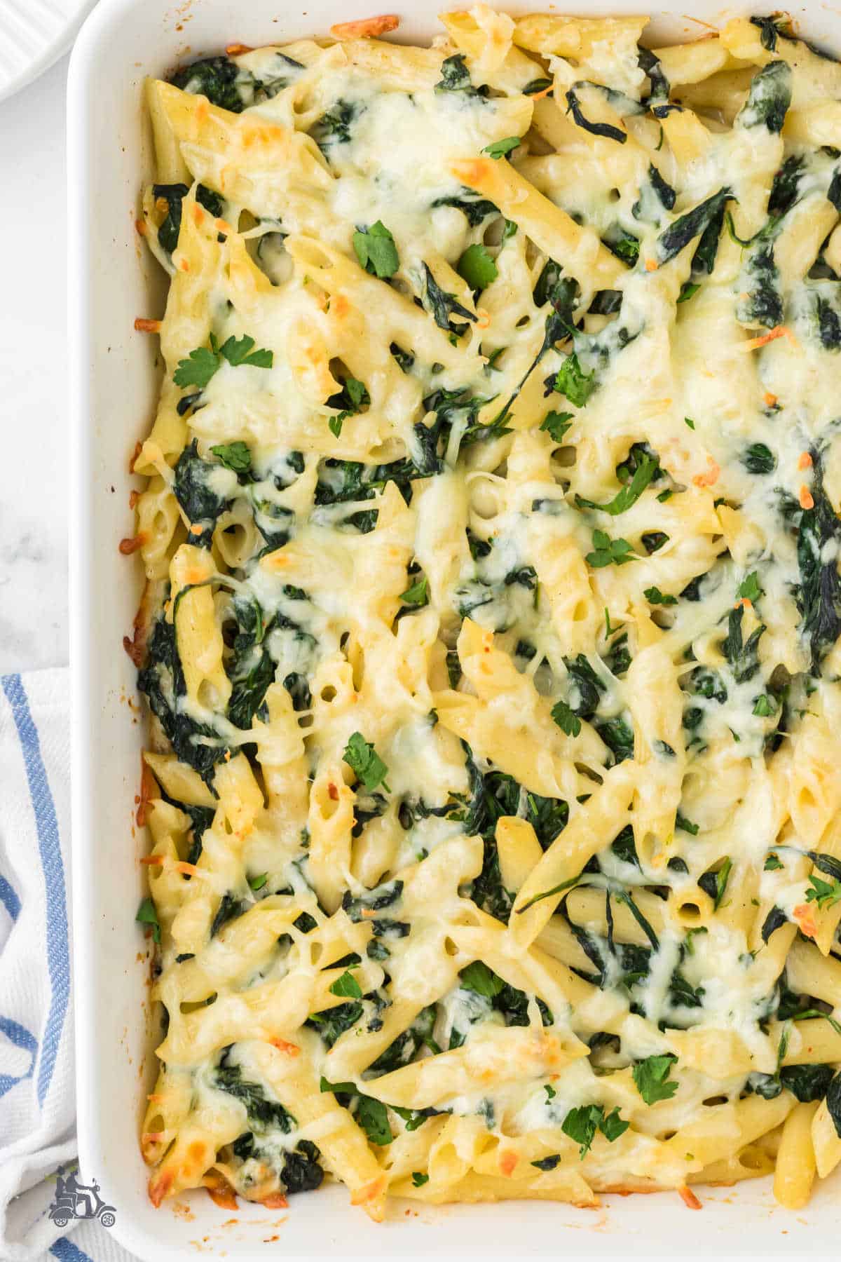 The finished penne pasta is served with in a creamy spinach sauce with chopped parsley garnish.