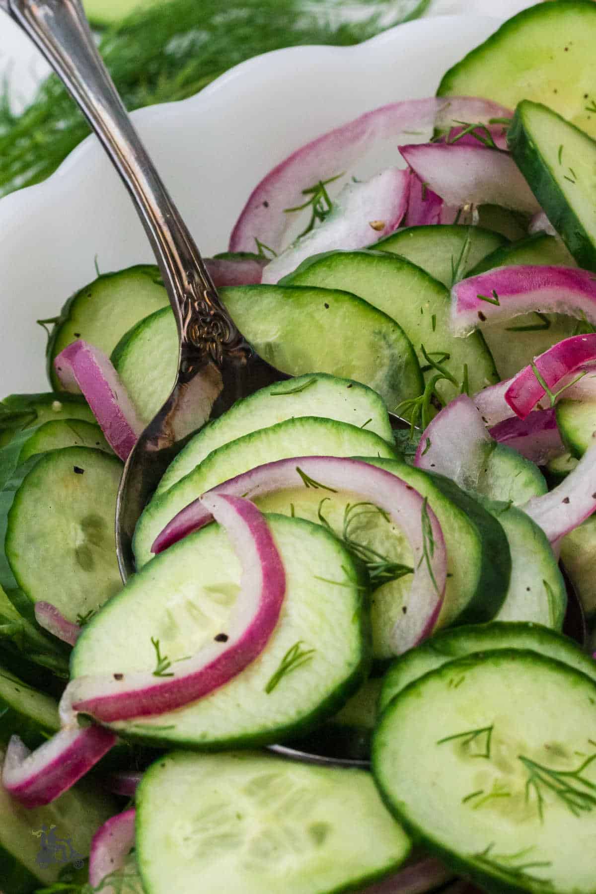 Sliced cucumbers and red onions tossed in vinegar dressing.