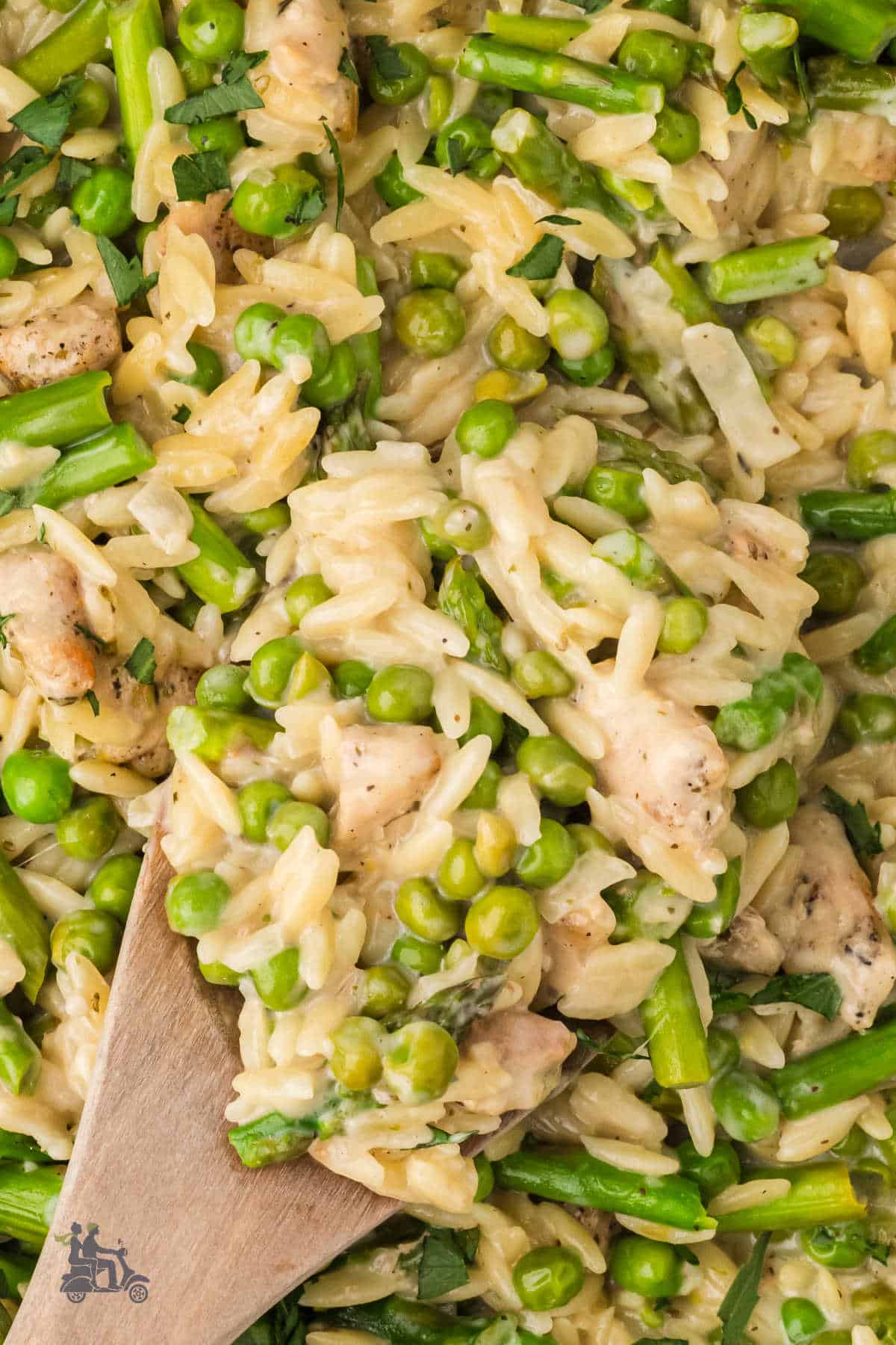 Close up of the spoon holding the creamy asparagus and pea orzo with the chicken.