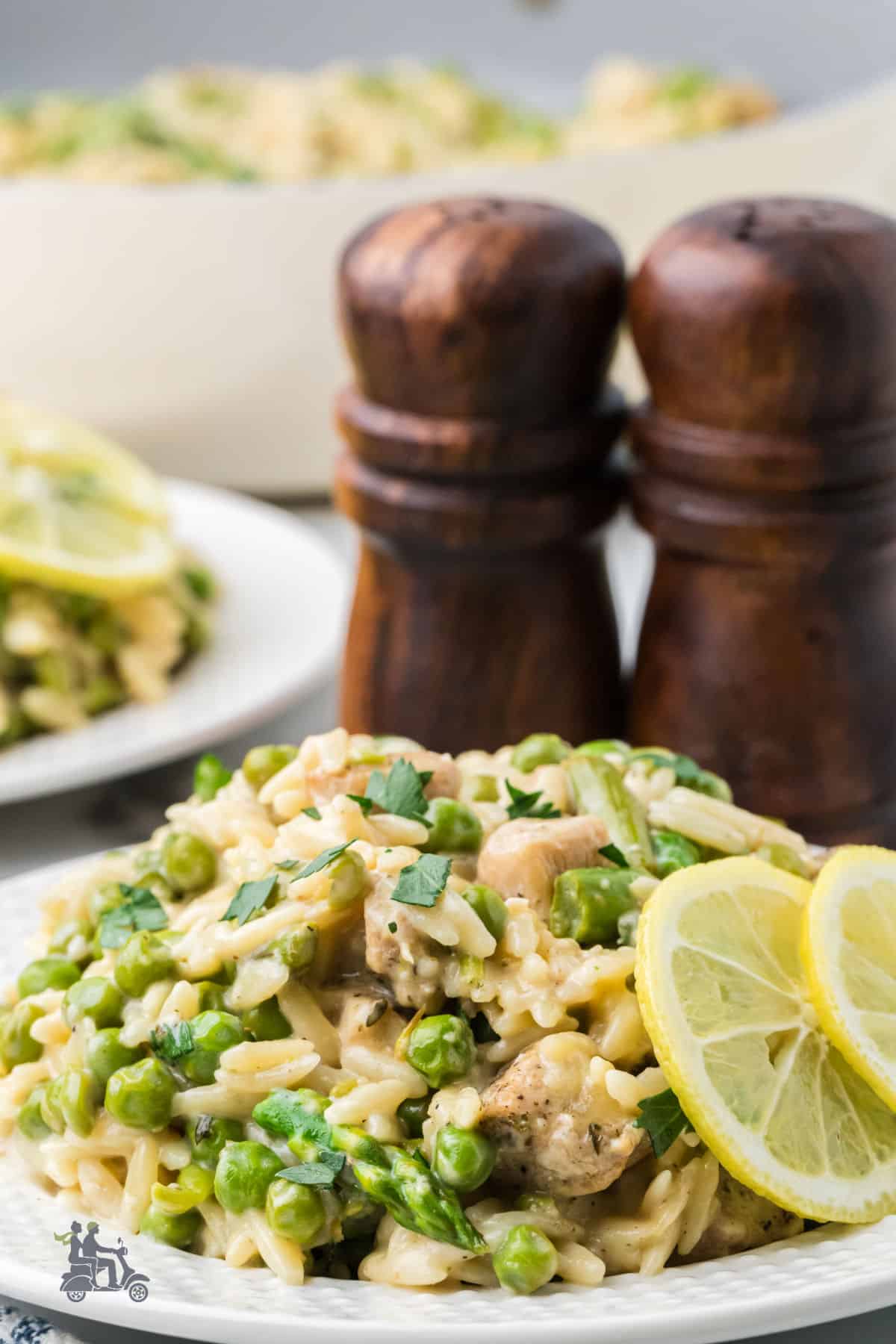 Creamy lemon Parmesan orzo with tender chicken breast cubes on a white dinner plate with lemon slices as garnish.