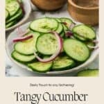 Classic tangy cucumber and red onion salad garnished with dill and additional vinegar dressing.