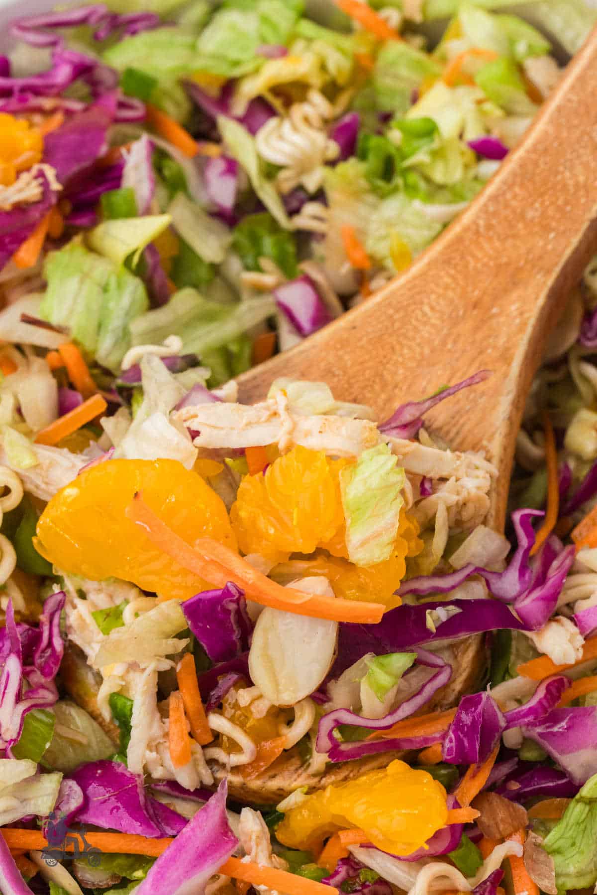 Close-up of crunchy chicken salad with cabbage, carrots, almonds, and mandarin oranges.