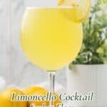 Limoncello sorbet float served in a stemmed wine glass with a mint sprig and lemon slice as garnish.