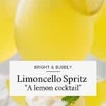 Bright citrus cocktail with lemon sorbet, making it an ideal drink or dessert.