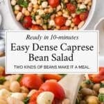 Closeup of chickpeas, white beans, tomatoes, mozzarella pearls, and torn basil with a balsamic vinaigrette.