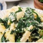 Creamed spinach pasta bake with tender penne and melty cheese for an easy weeknight family dinner.