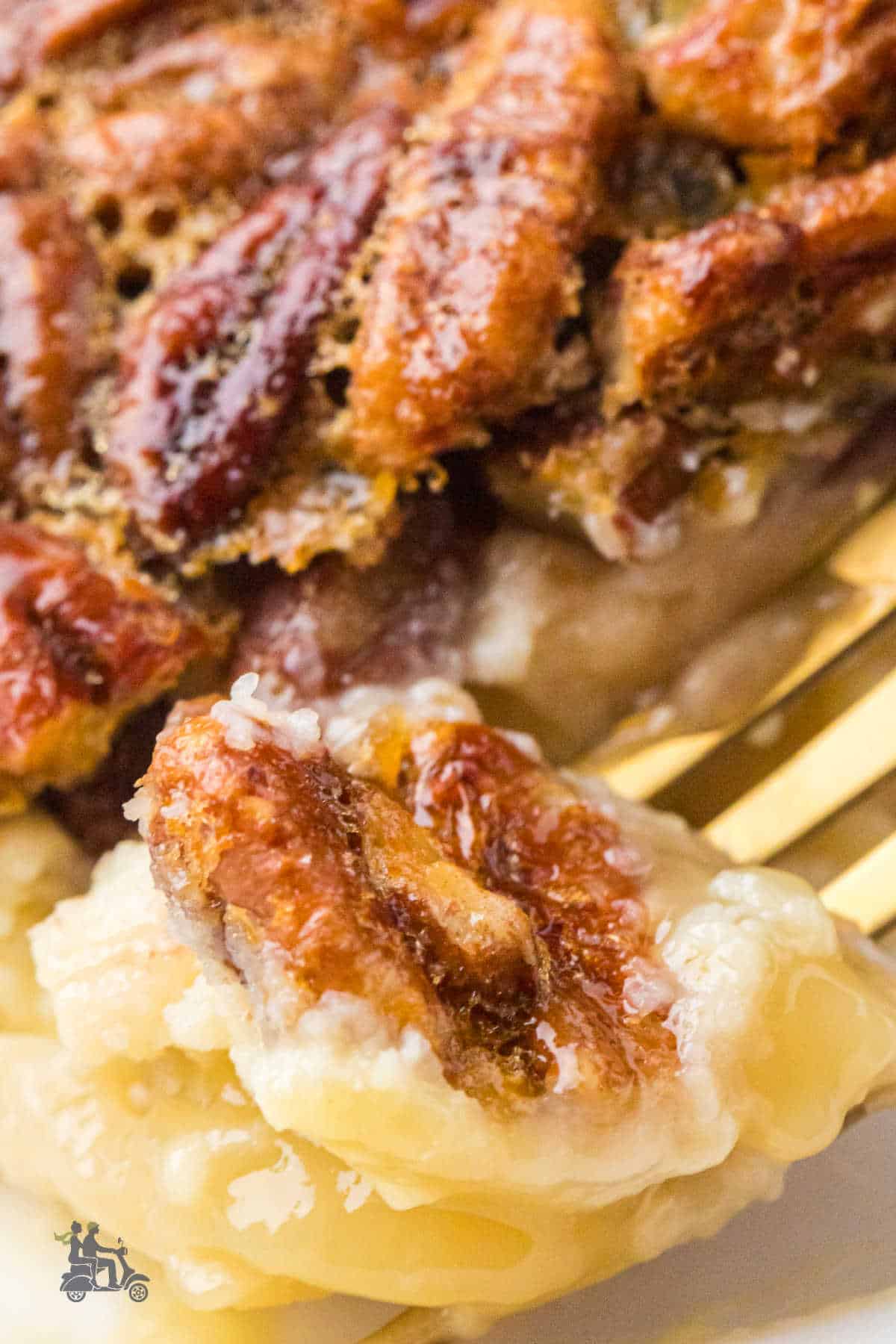 A close-up of a fork piercing a bite of pecan cheesecake pie.