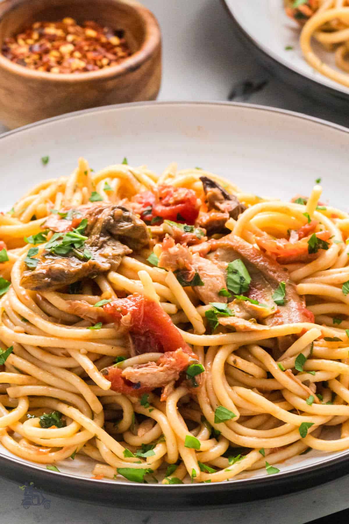 Side view of glossy tuna spaghetti coated in tomato-porcini sauce.